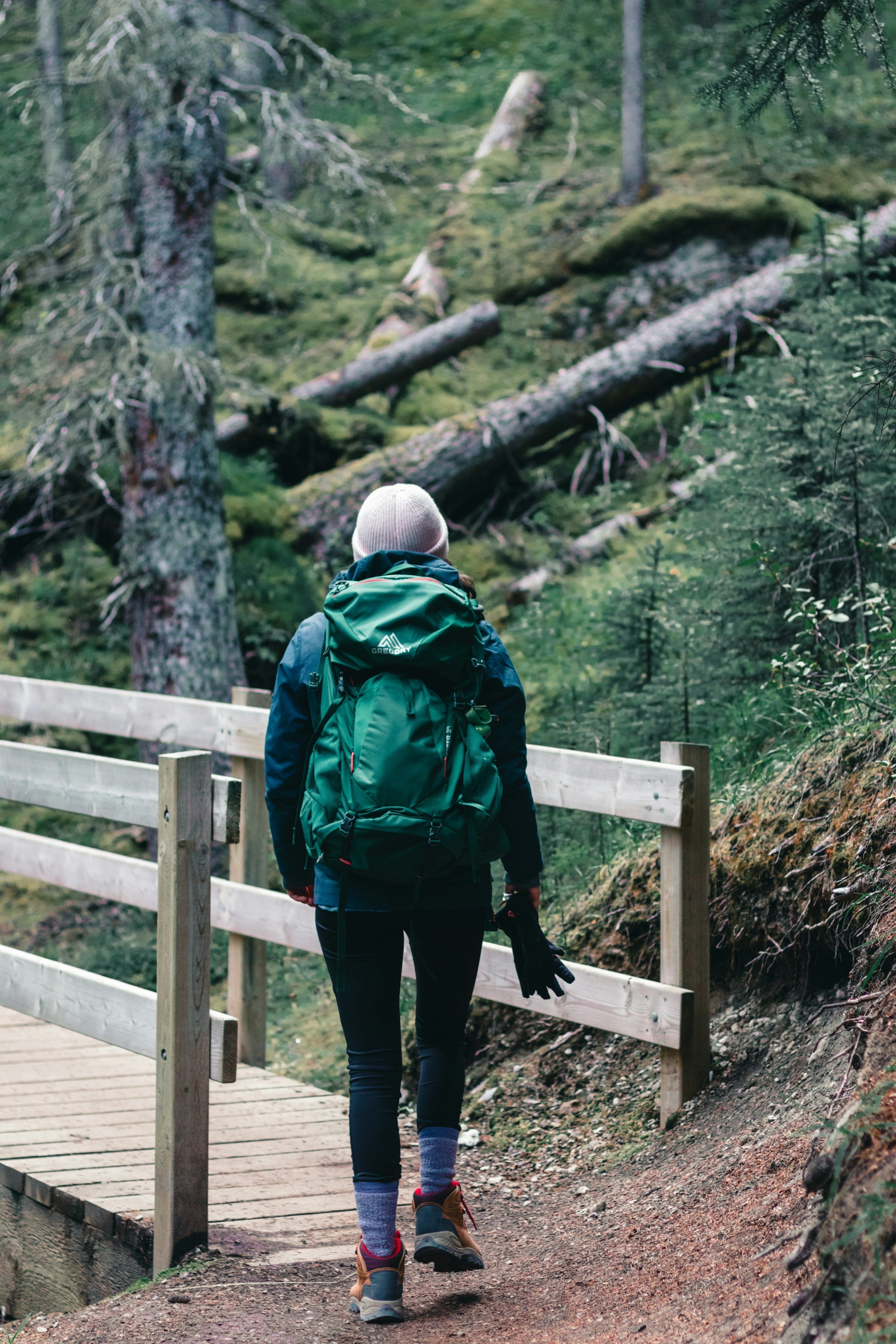 New to Backpacking?