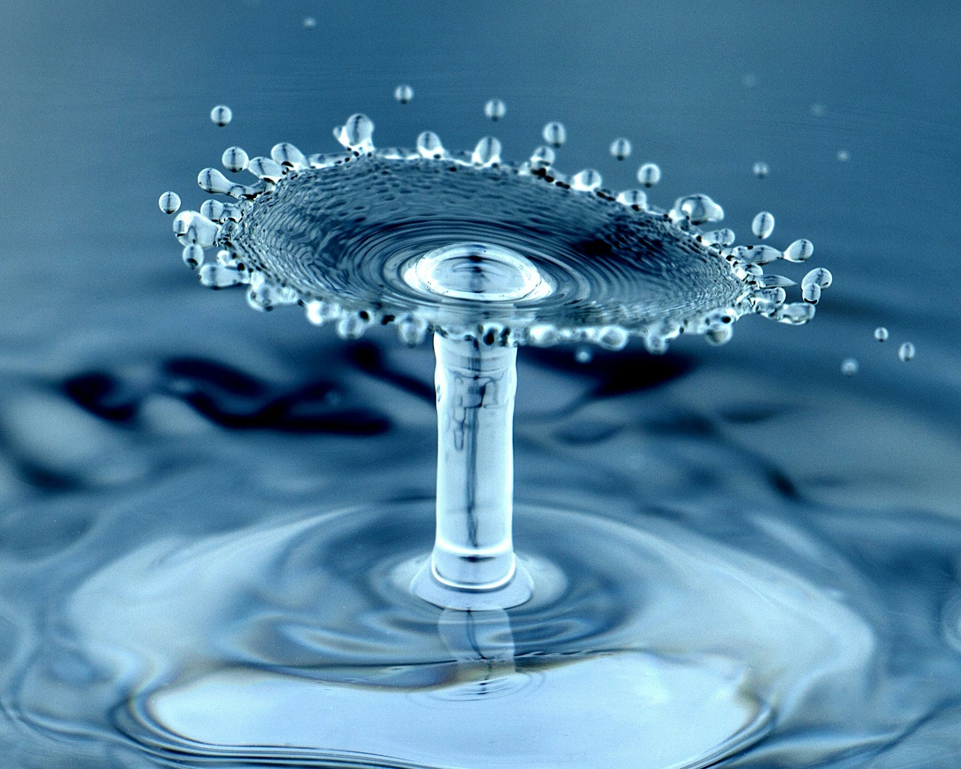 Stay Hydrated